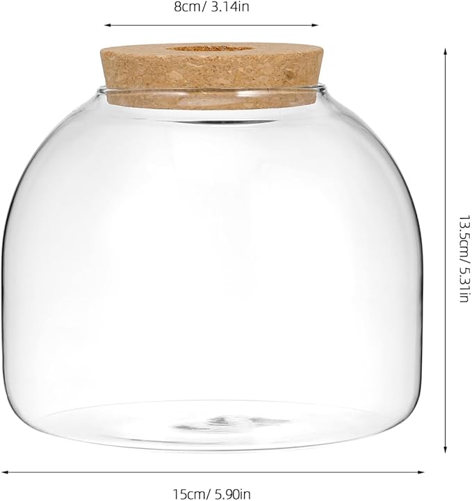 POPETPOP Glass Terrarium with Cork Lid - Glass Fish Tank Plant Terrarium, Tabletop Succulent Planter Aquarium for Hydroponic Plant & Small Fish - for Home, Office Decor