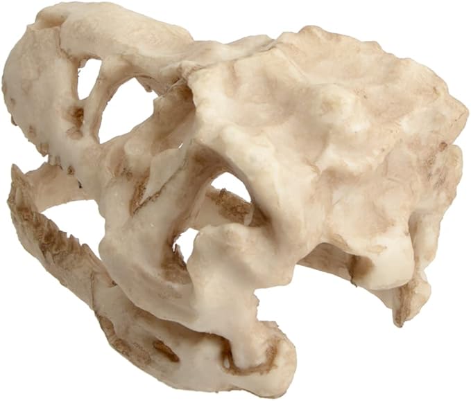 Fish Tank Decorations Dinosaur Skull Decor Resin Aquarium Decoration Accessories for Small Betta Fish, Hermit Crab Hideout Caves, Reptile House Ornament