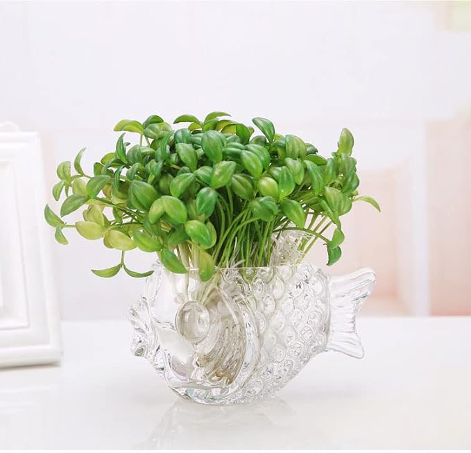 Fish Glass Bowl Multipurpose Living Room Turtle Tank Office Decoration Craft Ornaments Hydroponic Plant Utensils for Office,Living Room,Party,Restaurant