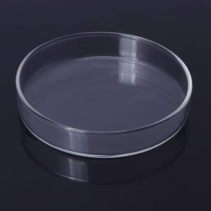Aquarium Fish Tank Shrimp Feeding Food Dish Bowl Feeder Tray Container Glass Shrimp Feeding Dish for Shrimp Food (9cm/3.54in)