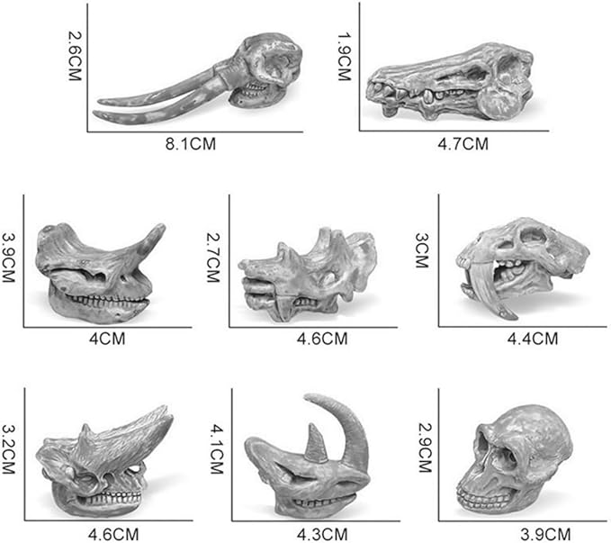 2inch Aquarium Decoration Realistic Animal Skulls Fish Tank Small Skull, Resin Skull Figurine Fish Shrimp Shelter Cave Hideout Turtle Hidden Tank Decoration,Mini Micro Landscaping Decor (8, Brown)