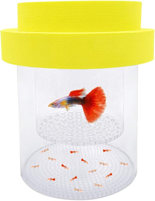 Floating Fish Breeding Box Acrylic Breeding Isolation Box for Aquarium Tank Hatchery Incubator Breeder Box for Baby Fish Betta Shrimp Clownfish Guppy (Yellow, Medium)