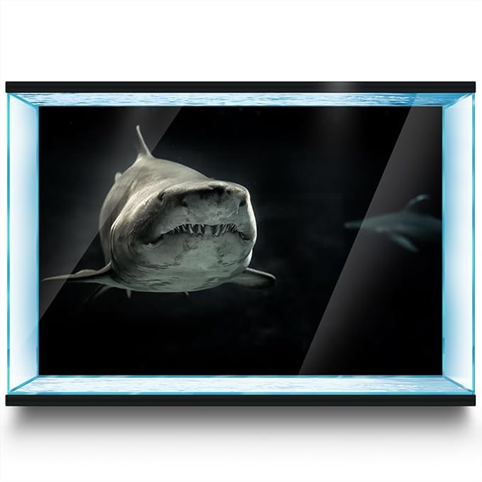 Aquarium Background Stickers - Shark Black Depth Ocean - Fish Tank Reptile Terrarium Decor Poster (120 x 60 cm / (47.2 x 23.6 inches))
