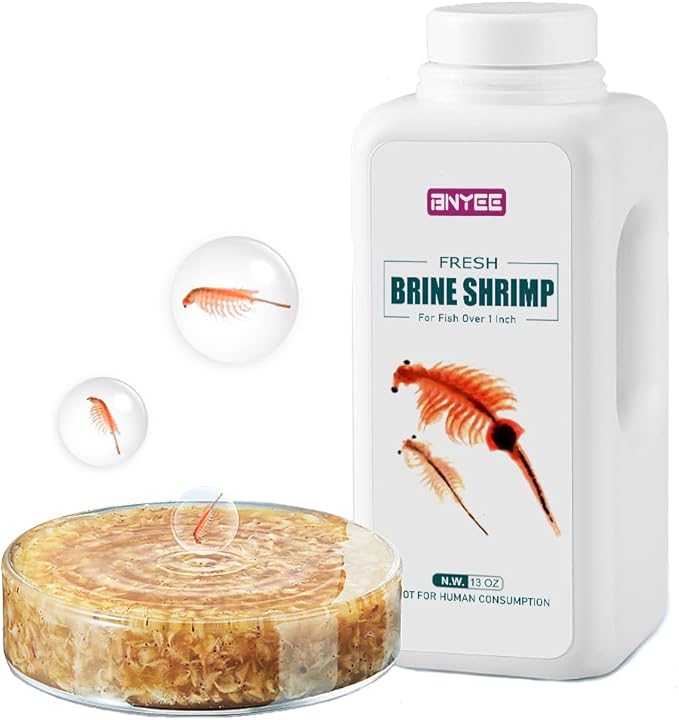 Fresh Brine Shrimp Fish Food - Consisting of Adult Non-Living Brine Shrimp for Fish Over 1 Inch (Brine Shrimp)