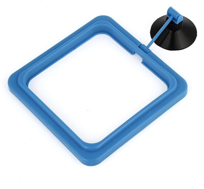 Ruilogod Plastic Square Shape Ring Station Fish Safe Food Feeder Blue (id: 4f0 149 6b2 e0a 918