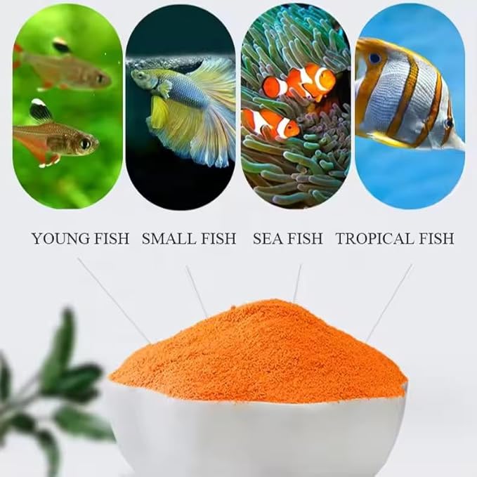Decapsulated Brine Shrimp Eggs (Non-Hatching) - High Protein Natural Food for Fish, Fry, Corals, Freshwater & Marine Tanks - 100% Natural Artemia Nauplii (4.93 OZ (140 gram))