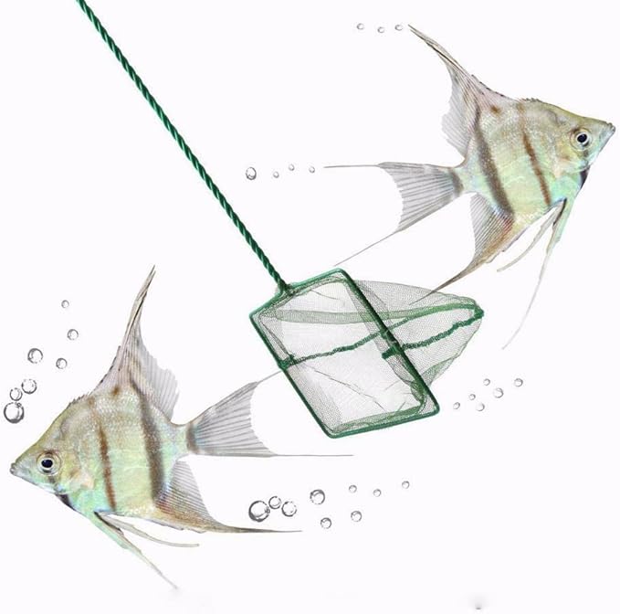 Fishing Landing Net, Portable Catch and Release Fish Net Fish Skimming Net Goldfish Net Floating Debris Clean Tools for Aquarium Fishbowl Fish (6 inch)