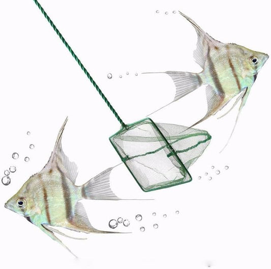 Fishing Landing Net, Portable Catch and Release Fish Net Fish Skimming Net Goldfish Net Floating Debris Clean Tools for Aquarium Fishbowl Fish (6 inch)