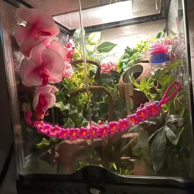Amphibian Vines Plants,Amphibian Hanging Plants, Terrarium Plants Gecko Tank Accessories with Suction Cups Plants Terrarium Decor for Hermit Crab Lizards Geckos Snake