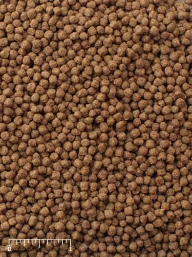 Mazuri Koi | Platinum Bits Nutritionally Complete Koi Fish Food | for Small Koi - 20 Pound (20 lb.) Bag