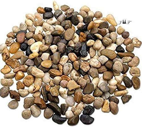 2 Pounds River Rock Stones - Natural Polished, Pebbles, Outdoor Decorative Stones, Natural Gravel, For Aquariums, Landscaping, Vase Fillers, Succulent, Tillandsia, Cactus pot, Terrarium Plants