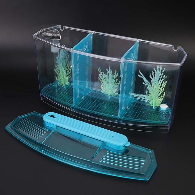 Small Fish Isolation Fish Tank, LED Acrylic Aquarium Fish Tank, Transparent Fish Isolation Box with 2 Isolation Plates for Small Fishes Betta Shrimp Guppy (Blue)
