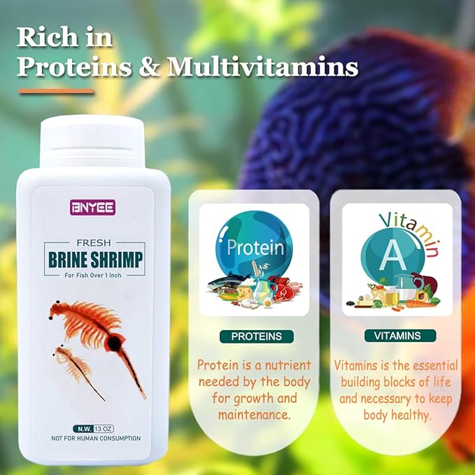 Fresh Brine Shrimp Fish Food - Consisting of Adult Non-Living Brine Shrimp for Fish Over 1 Inch (Brine Shrimp)