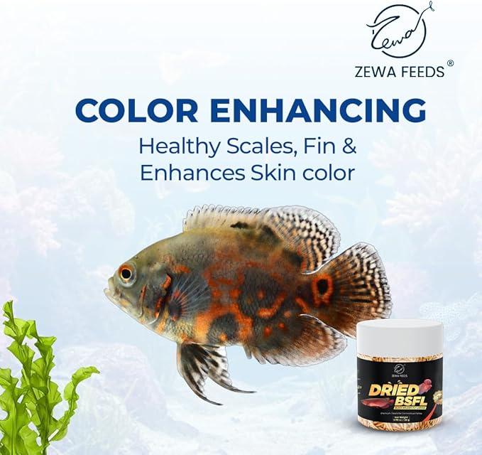 Dried Black Soldier Fly Larvae - 100% Natural Protein Rich Fish Food for Arowana, Flower Horn, Oscar, Koi, Cichlids, Discus, Redtail Shark (20 g/0.7 Oz/100 ml)
