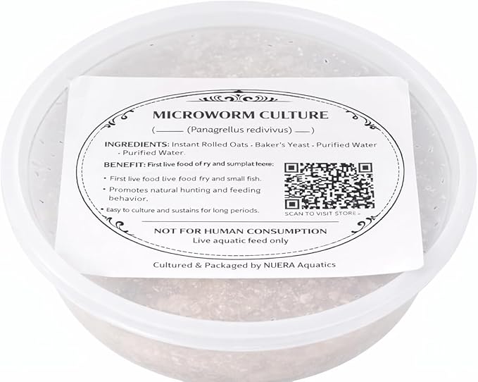 Microworms and Vinegar Eels Starter Culture Combo – Live Fish Fry Food for Betta, Guppy, Nano and Freshwater Baby Fish 5oz