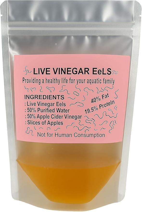 Live Vinegar Eels Culture (Turbatrix aceti) – First Food for Fish Fry – Betta & Guppy Fry Live Fish Food Starter Culture (10 oz)