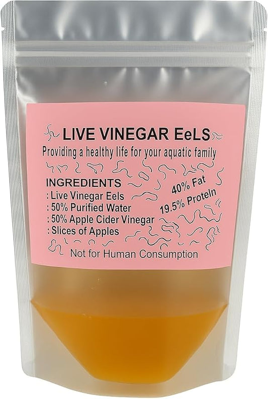 Live Vinegar Eels Culture (Turbatrix aceti) – First Food for Fish Fry – Betta & Guppy Fry Live Fish Food Starter Culture (10 oz)