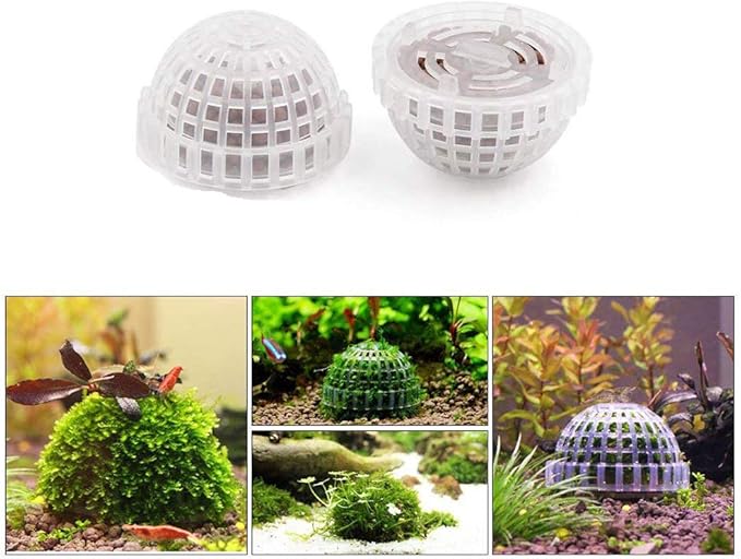 Yohii Dahszhi 2Pcs Plastic Aquarium Shrimp Fish Tank Moss Ball Holder Plant Shaping Filter(G6.71)