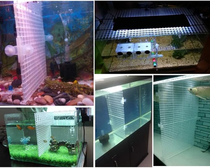 balacoo 1set Aquarium Panel Lattice Divider Suction Cups Black Easy to Install and Remove for Fish Separation and Breeding Versatile Aquarium Supplies