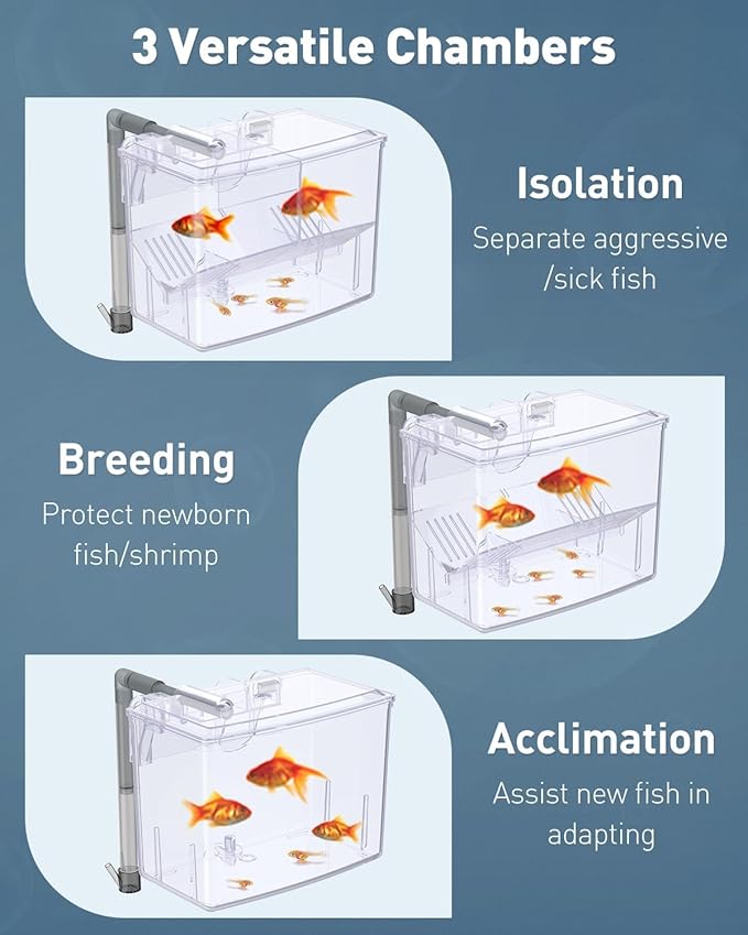 Pawfly Aquarium Breeding Box Fish Tank Hatchery Incubator Acrylic Breeder Box for Baby Fish Shrimp Betta Clownfish Small Isolation Box for Aggressive Fish Guppy