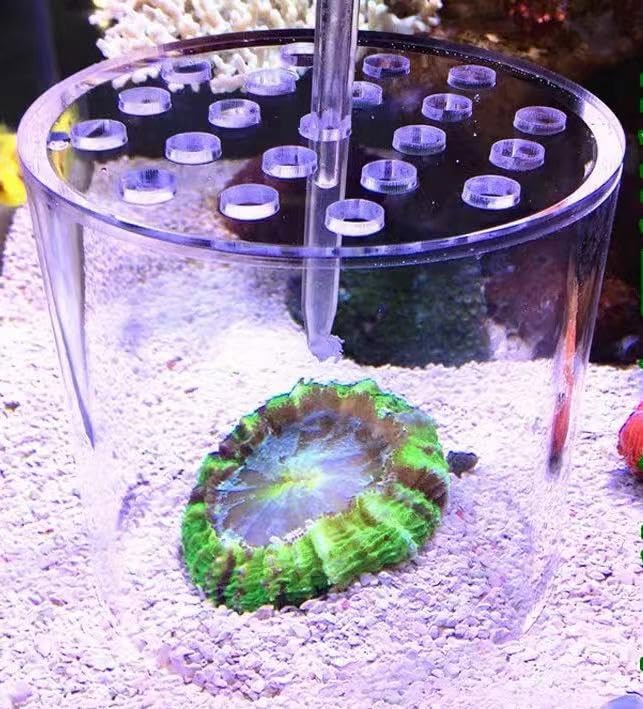 Acrylic Coral Feeder Cover Reef Feeding Breeding Protection Cover Avoid Corals Food Floating Around