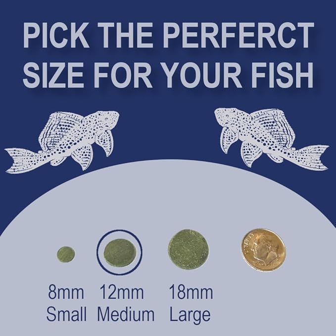 Medium 12mm Algae Wafer - Algae Wafers for Bottom Feeders - The Best Pleco Wafers & Pleco Food Available - Algae Wafers for Snails (16 oz)