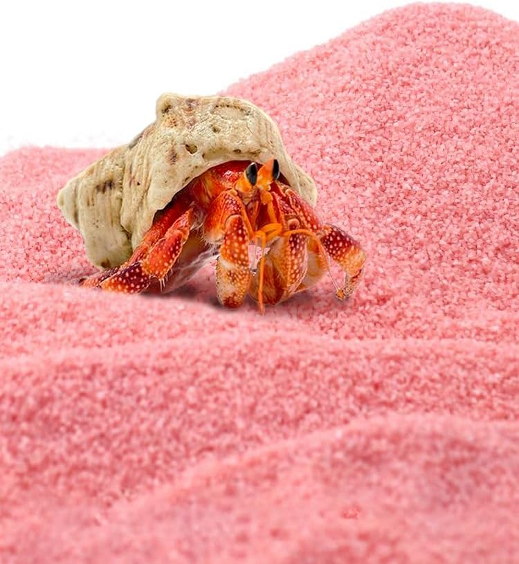 Hermit Crab Substrate Sand, Substrate Sands, Aquarium Sand, Terrarium Bedding, Reptiles, Aquarium Decorations, Starfish, Clownfish, Shallow-Water Creature Supplies, Amphibians (1000, g)