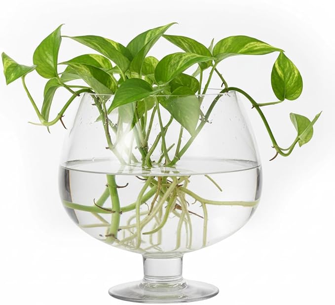 SUPVOX Glass Fish Bowl 6.7 Inch Round Goldfish Tank - Clear Glass Aquarium for Desktop Hydroponic Plants and Home Office Decor