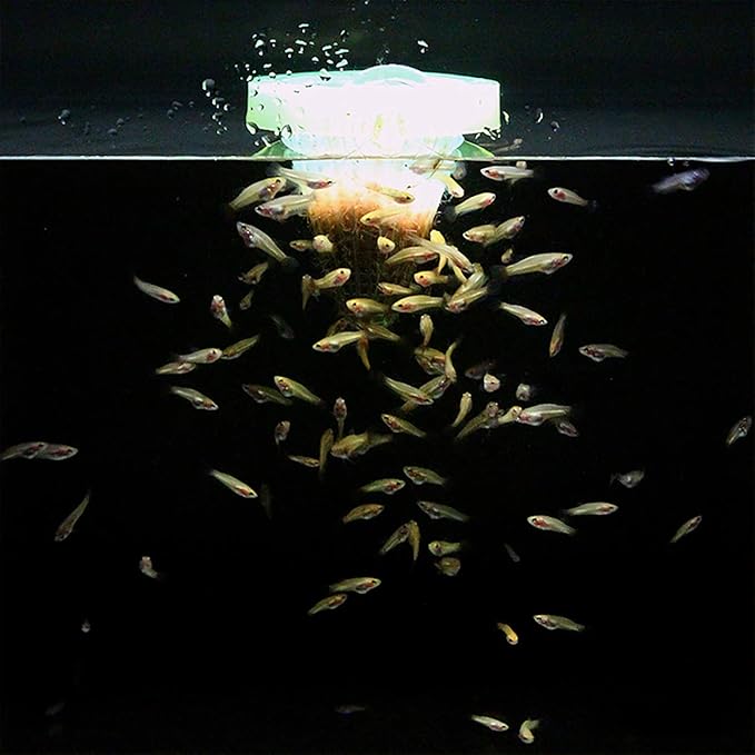 A.D.P. UTH Fish Food Fresh Eggs Fairy Shrimp (250000+Egg) 3 g. Best Tropical Fish Food Grow Faster & Color Enhancer Slow Sinking Like Pellets High Protein 64% for All Small Baby Fry Newborn Fish Feed