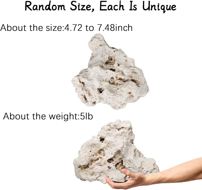 Hamiledyi Aquarium Holey Rock Stone White Coral Ornament Sea Base Rocks for Aquarium Aquascaping Natural Limestone Decor for Fish Tank Aquatic Shrimp Pet Reptile Habitat (Random Size and Quantity)