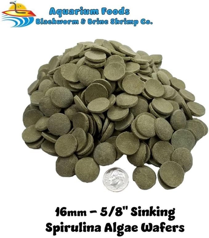 16mm - 5/8" Medium/Large Sinking Wafers of Algae, Spirulina, Veggies for All Tropical Fish, African Cichlids, Shrimp, Snails, Crabs, Catfish, Plecos..…1-lb 12.3oz Clear Bag