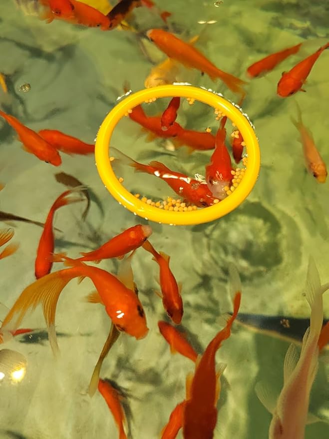 Betta Fish Enrichment Toys Ring and Mirror Floating Exercise Mirrors and Training Ring Floating Mirrors Aquarium with Feeding Rings Aquarium Accessories with Suction-Cup (Yellow)