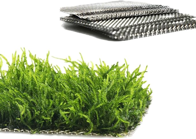 LINLAN 24 Pieces 3.1X3.1in (8X8cm) Aquarium Moss Mesh, 304 Stainless Steel Aquatic Moss Wall, Easy to Cut, for Fixing and Propagating Aquatic Mosses, DIY Aquarium Filtration, and Aquascaping
