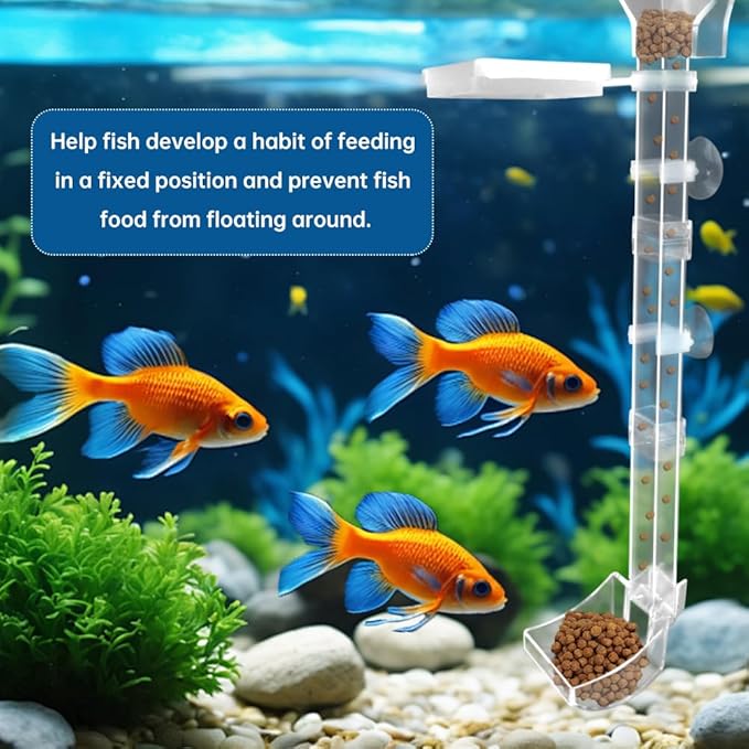 Shrimp Feeder: Tube & Dish Set, Anti-Scatter, Adjustable Height for Aquariums/Tanks | Ideal for Fishkeepers