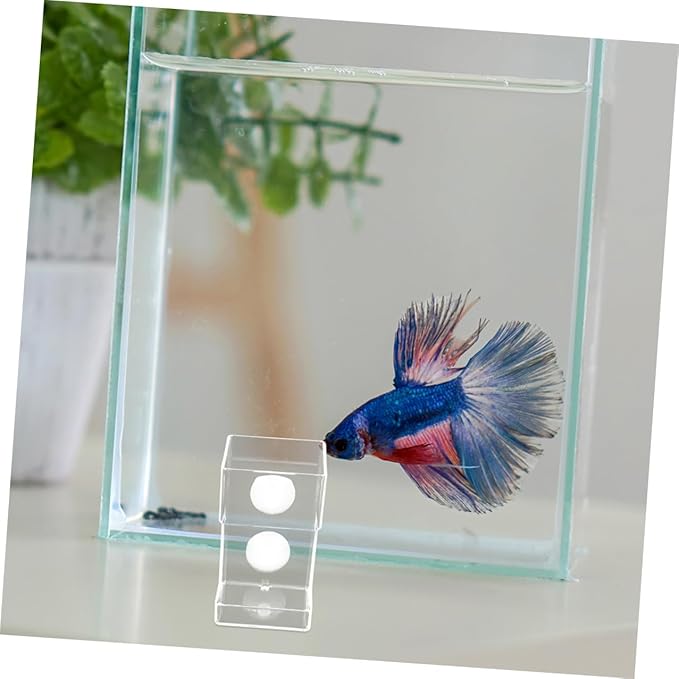 Beaupretty Fish Tank Feeding Tube with Suction Cup Aquarium Feeder Dish, Large Square Automatic Shrimp Feeder for Controlled Feeding in Freshwater Tanks
