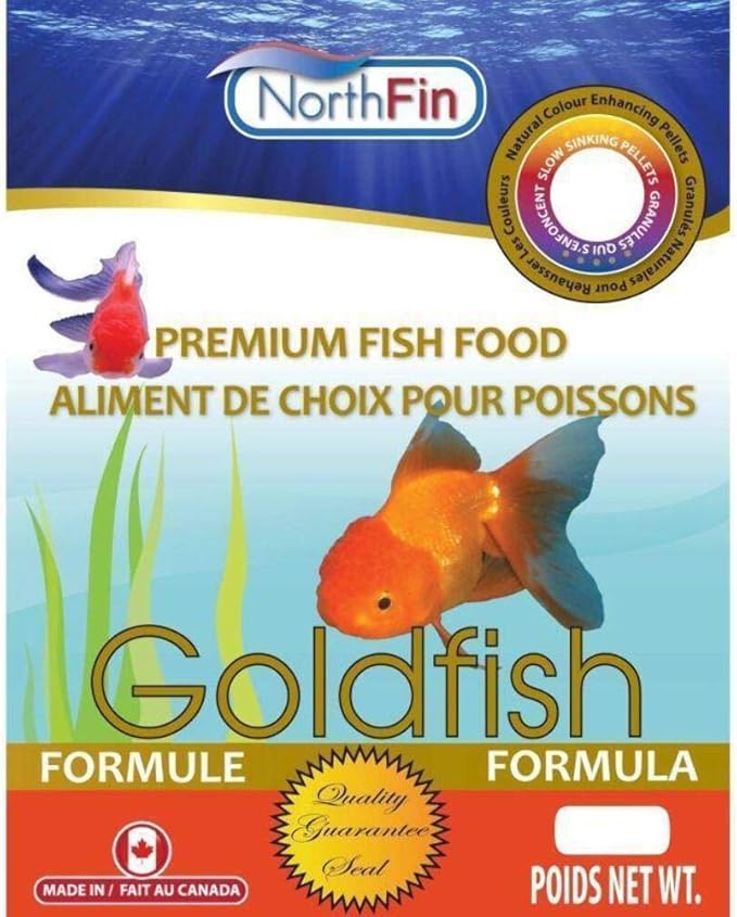 Northfin Goldfish
