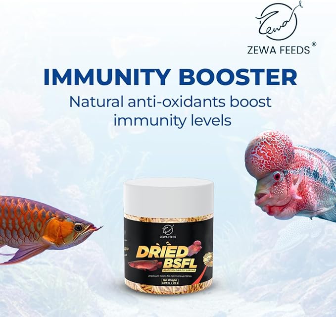 Dried Black Soldier Fly Larvae - 100% Natural Protein Rich Fish Food for Arowana, Flower Horn, Oscar, Koi, Cichlids, Discus, Redtail Shark (20 g/0.7 Oz/100 ml)