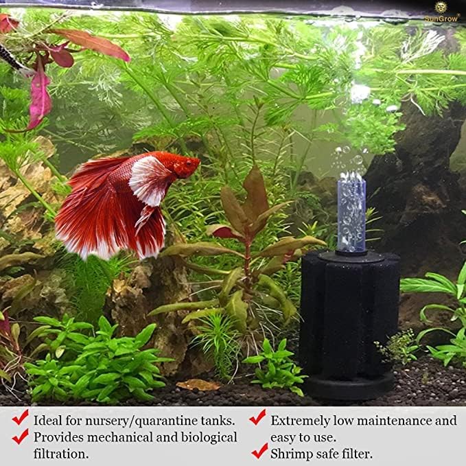 SunGrow 10-Gallon Betta Sponge Filter, Underwater Center Aquarium Filter, Attach it to Air Pump (Not Included) to Run, Works for Tropical Fish & Breeder Aquarium, Perfect for Fry & Small Fish, 2 Pcs