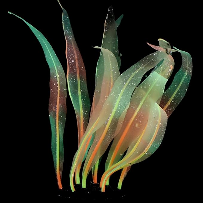Aquarium Artificial Kelp Soft Silicone Plant Move With Water Flows 7 Inch High Realistic Seaweed Fish Tanks Decorations Silicone Seaweed Aquarium Plant Kelp Aquarium Plant Decor Realistic Fish Tanks