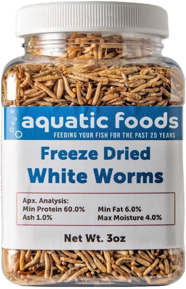 White Worms-Freeze Dried Floating White Worms for All Tropical Fish, Marine Fish, Discus, Cichlids, Koi & Pond Fish, Turtles…3oz Small Jar