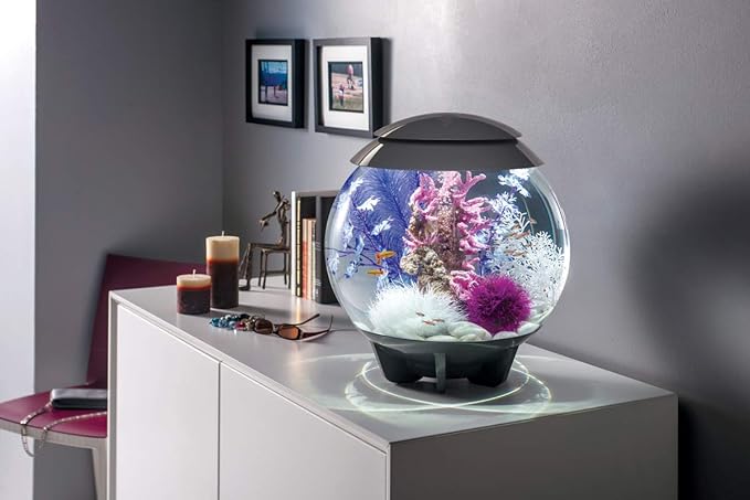 BiOrb 46080.0 Kelp Set Medium Purple Aquariums