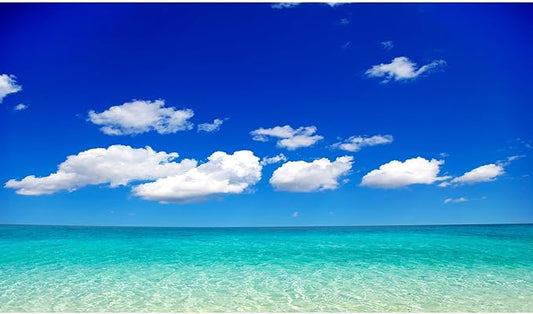 Ocean Sea Fish Tank Background Tropical Paradise Ocean Aquarium Background Sunny Seascape Terrarium Backgrounds Sunny Blue Sky Cloudy Seacoast Sandbeach Sea Waves Reptile Tank Backgrounds 72x18in