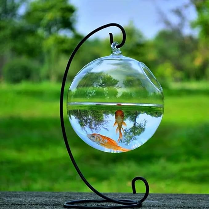 Spherical Glass Handmade Fish for Round Shape Hanging Glass Aquarium Fish Bowl Clear Plant Terrarium