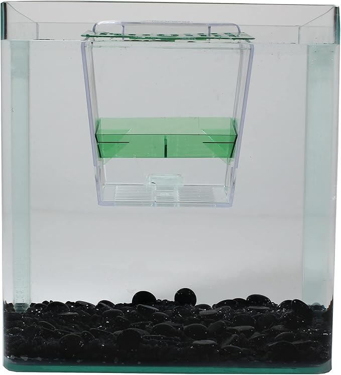 Penn-Plax Breed and Show Nursery Fish Tank