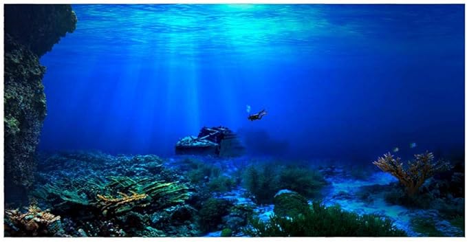 Huhushop Aquarium Background,HD Undersea Coral Reef Photo Wall Paper, Aquarium Fish Sea Mural,XXL Undersea Underwater World Wall Decoration (122x50cm)