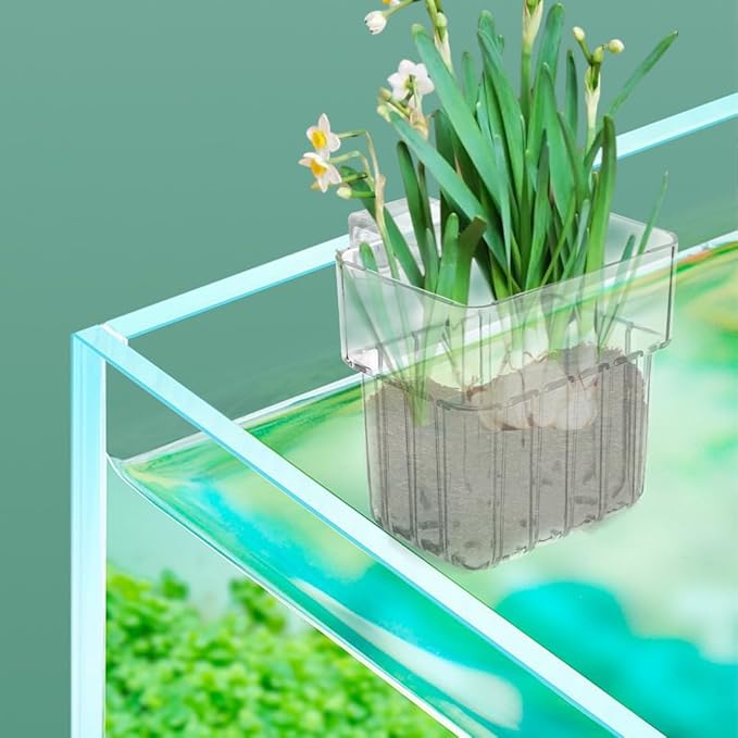 2 Pieces 6 Holes Aquarium Plant Holder Clear Acrylic Fish Tank Planter Cup Hanging Water Plants Pot for Aquarium Decor Plant Cultivation Aquarium Decorations