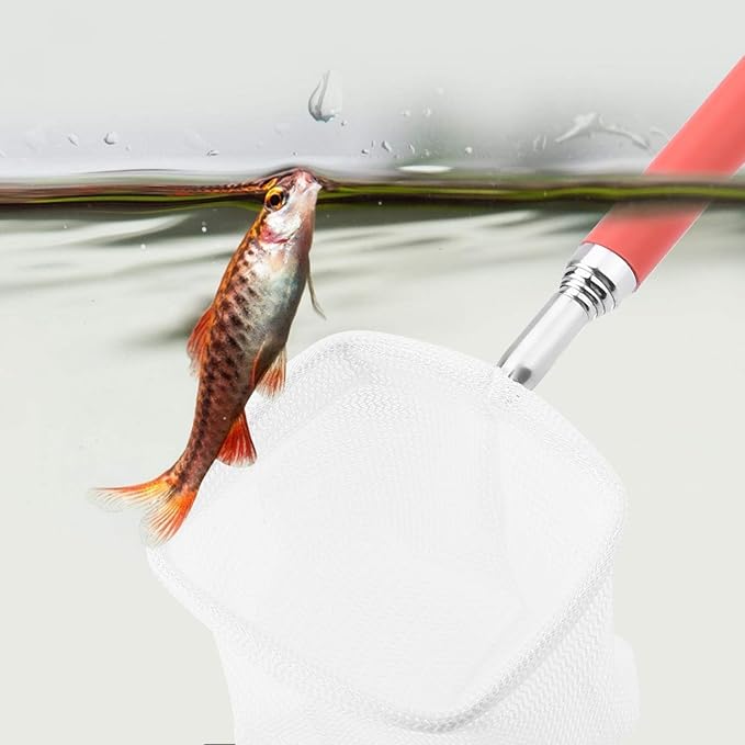 Fish Shrimp Skimming Net, Fishing Landing Net Fine Mesh Extendable Telescopic Fish Shrimp Skimming Net Stainless Steel Handle Fishing Net for Aquarium Fish Pond Creek(Red)