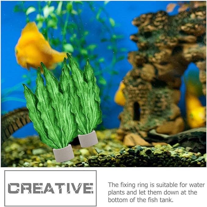 iplusmile Aquarium Plant Holder Rings 1.77In Ceramic – Weighted Anti-Float Secure Fixing – for Fish Tanks Freshwater Aquariums Shrimp Tanks for Live Aquatic Plants Grass Decor
