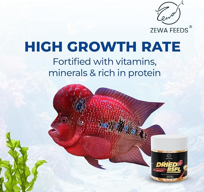 Dried Black Soldier Fly Larvae - 100% Natural Protein Rich Fish Food for Arowana, Flower Horn, Oscar, Koi, Cichlids, Discus, Redtail Shark (20 g/0.7 Oz/100 ml)