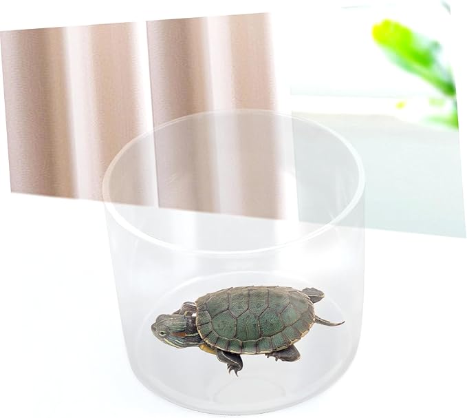 Transparent Small Glass Fish Bowl Aquarium Desktop Tank for Betta Fish Shrimp Aquatic Plant Decor Centerpiece for Home Office